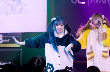 250220 하츠칸덴 요루 - トーキョーアイデンティテ + 原宿サニーデイ 『dotchisuki live vol.16 : 파자마와 외출복』 직캠