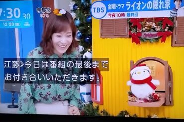 シマエナガちゃん❤️あいちゃーーん助けてーー！可愛い🥹