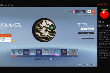 ow2  眠れぬ夜に