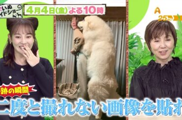 ゲスト：渡辺満里奈【ネコいぬワイドショー】