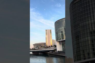 カワヅザクラ 満開 横浜駅東口 河津桜  日産グローバル本社 富士フイルムビジネスイノベーション K-Arena Ｋアリーナ横浜 満開