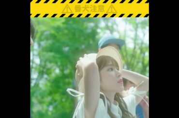 #福本莉子 お嬢と番犬くん 人混みで動物が見えなければ番犬くんが持ち上げます