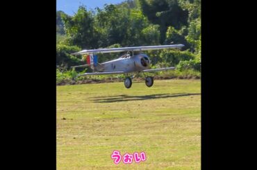 着陸するニューポール１７　ラジコン飛行機