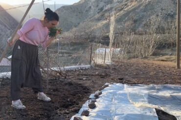 Dağ Köyünde Günlük Hayat / Ata Tohumlarımı Ekiyorum