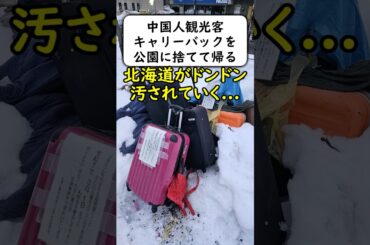 中国人観光客がキャリーケースを道端に捨てて帰る... #岩屋は責任をとれ