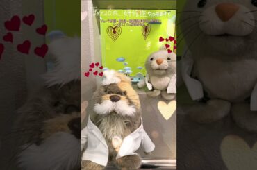 🩺#まどか26歳 メイキング🎥水族館の中を大冒険!!🦭👀 #芳根京子