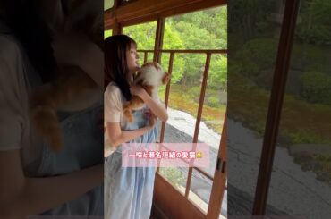 #福本莉子 2月22日は猫の日 瀬名垣組の'愛猫'も登場