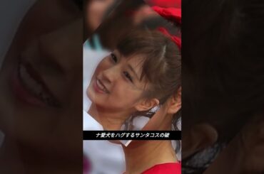 「やばいビジュアル爆発」堤礼実アナ、愛犬をハグするサンタコスの破壊力が凄い「かわいッ!!って声出た」