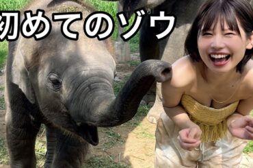 大迫力のゾウと触れ合うinタイ🇹🇭