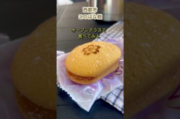 3/21西都市西都原古墳群『このはな館』と『桜開花状況』  #西都市 #このはな館 #西都原古墳群 #桜まつり