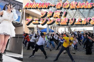 【 愛未 莉叶 】ヲタ芸　アニソンメドレー　超楽しい！太田川のサブカルイベント   ANIMAN～春の宴2025～