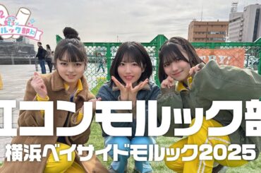 【モルック】虹コンモルック部「横浜ベイサイドモルック」参戦！