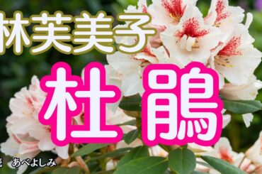 【朗読】林芙美子「杜鵑(ほととぎす) 」　　朗読・あべよしみ
