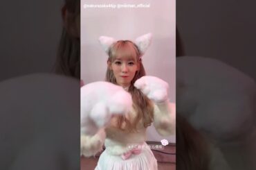 小池美波 白猫のみいちゃん♪そこ曲がったら、櫻坂？