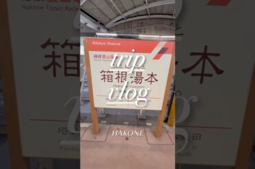 【vlog】のんびり箱根旅行⛰️♨️ #飯田里穂 #飯田里穂タイム #vlog