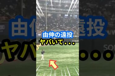 山本由伸の遠投ヤバいて... #大谷翔平 #mlb  #shorts  #ドジャース #野球 #ohtani #東京シリーズ #山本由伸