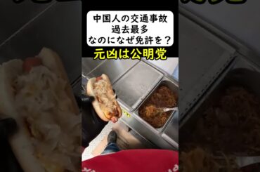 中国人観光客がレンタカーで事故を起こしまくる #岩屋は責任をとれ