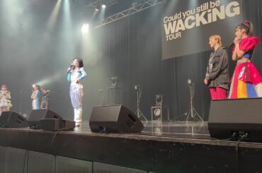 ぼっくちゅトーク Could you still be WACKiNG TOUR大阪