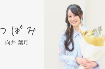 向井葉月 × Aqua Timez「つぼみ」【乃木坂46卒業記念 Fan Made MV】