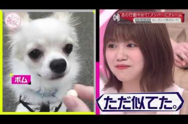 日向坂46 日向坂で会いましょう 2025 Episode 108 + 112 Full Show