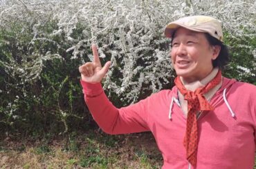 昭和歌謡の名曲は畑中葉子の『癖になりそう』を歌う❗#昭和歌謡 #昭和ポップス歌謡 #映画主題歌 #日活映画 #懐メロ #80年代歌謡曲 #森雪之丞 #小杉保夫 #想い出のメロディー #歌手 #アカペラ