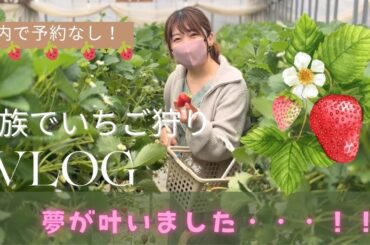 【vlog】家族でいちご狩り