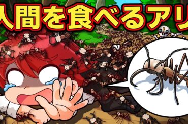 【超危険】人間を食い尽くす「グンタイアリ」がヤバすぎる【アニメ】【マンガ】