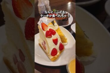 1泊3回バイキングがある神コスパ宿！ケーキもアイスも食べ放題！シャトレーゼホテル小海