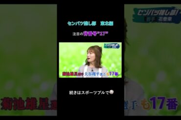 【センバツ高校野球が100倍楽しくなるセンバツ推し部！#1】北海道・東北・北信越編❄️