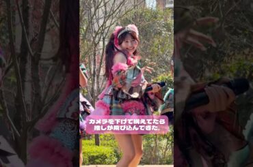 5秒後に飛び込んできます。CANDY TUNE村川緋杏推しカメラ#きゃんちゅー#村川緋杏#idol #ライブ #アイドル #推し活 #おすすめ #チッケム#推しカメラ #fancam #fyp