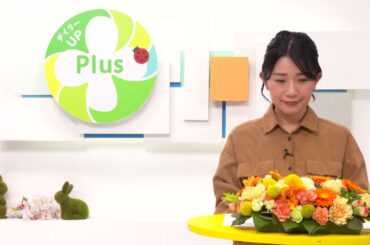 デイリーUP Plus（3月26日）