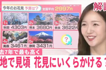 【花見の予算は？】1位は秋田の4303円！2位は熊本の3680円  過去7年で最も高く【#みんなのギモン】