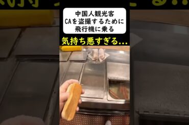 中国人観光客が全日空のCAを... #岩屋は責任をとれ