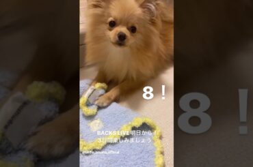 大沼晶保 ぷぐまるが可愛くて仕方がないあきぽ♪BACKSLIVE明日8月23日から！