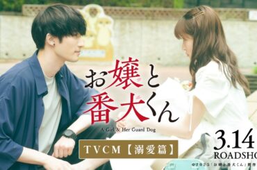 映画『お嬢と番犬くん』TVCM《溺愛篇》【3月14日(金)公開】