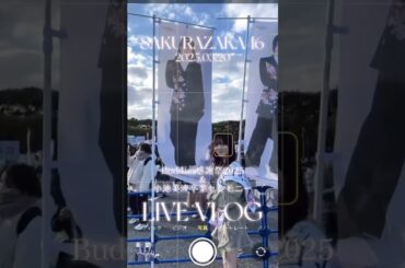 【櫻坂46】Buddies感謝祭2025／小池美波卒業セレモニー🌸vlog