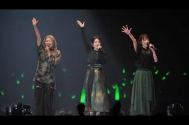 メロン記念日、客席一面のメロンカラーに感無量の涙　上國料萌衣は松浦亜弥の名曲「LOVE涙色」で魅了＜ひなフェス2025＞