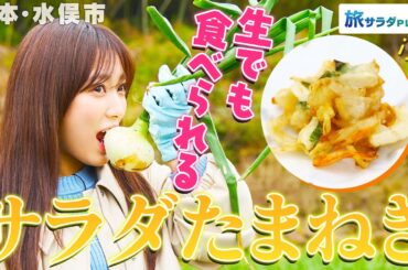 【矢吹奈子in熊本・水俣市】食卓を彩る絶品”サラダたまねぎ”！〈ロコレコ〉