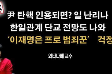 광화문 집회에 일본 걱정하는 일본인들 많이 참석 [와타나베 미카 교수]