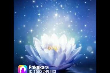 【歌ってみた】牧野由依「アムリタ」