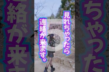 見れちゃったら⚠️嬉しい連絡が来ます‼️奇跡の波動送り✨ #幸運 #引き寄せ #引き寄せの法則