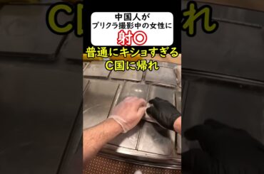 中国人がプリクラ撮影中のJC2人にぶっかける→逮捕(余罪多数) #岩屋は責任をとれ