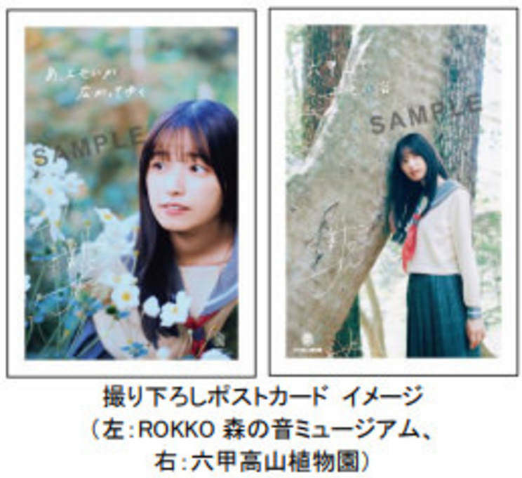 撮り下ろしポストカード イメージ（左：ROKKO 森の音ミュージアム、右：六甲高山植物園）