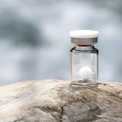 ガラス容器に入ったフリーズボールが岩の上に置かれている画像