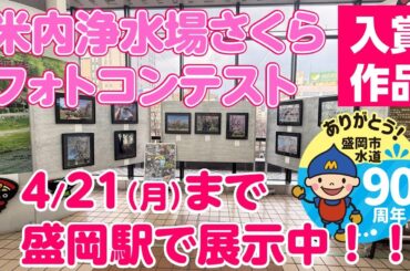 【期間限定】盛岡駅に米内浄水場の桜の写真が展示されています【盛岡市上下水道局】