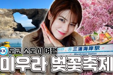 [SUB] 일본 소도시 여행 🚞 일본에서 가장 빨리 피는 벚꽃이 있는 미우라 반도🌸 | 도쿄 근교 게이큐선 여행, 카와즈 사쿠라, 미사키 마구로 킷푸, 참치 특수 부위 맛집