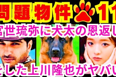 【問題物件 11話（最終回）】犬頭（上川隆也）が社長の弱みを握り、保健所から抜け出した後に拾ってくれた命の恩人の大島雅弘（宮世琉弥）を守ったこと「●●●●●は犬太の化身」【ポイントまとめ】【最終話】