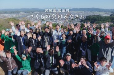 晴れ風　二年目の春　目黒さん篇　30秒