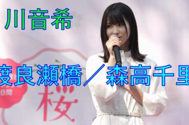 【渡良瀬橋／森高千里】川音希  路上ライブ  うえの桜フェスタ