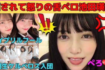 【池田瑛紗】岡本姫奈に騙されてプンプンな池田瑛紗と菅原咲月/簡単に舌ペロしちゃうてれぱん/6期生がケルベロスに入団⁉/てれぱんのミーグリはおすすめ！/文字起こし（乃木坂46・のぎおび）